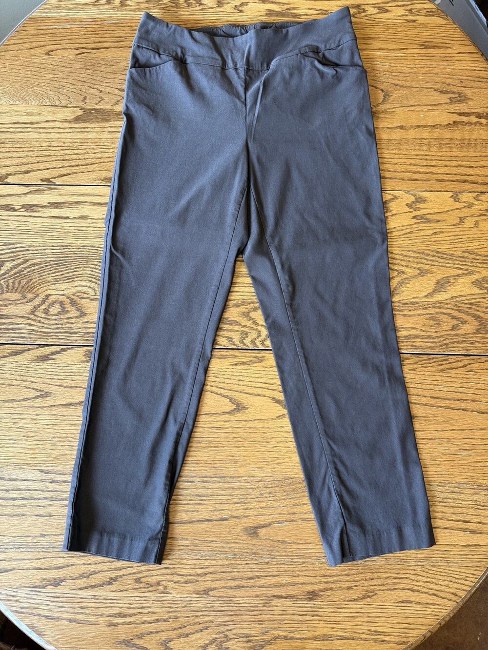 Briggs Brown Womens Pull-on Pants Size 14W